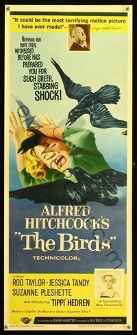 8y059 BIRDS insert '63 Alfred Hitchcock shown, close up of Tippi Hedren attacked by birds!