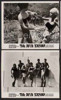 9p755 ACID EATERS 3 8x9.75 stills '67 the sexploitation film of anti-social significance!